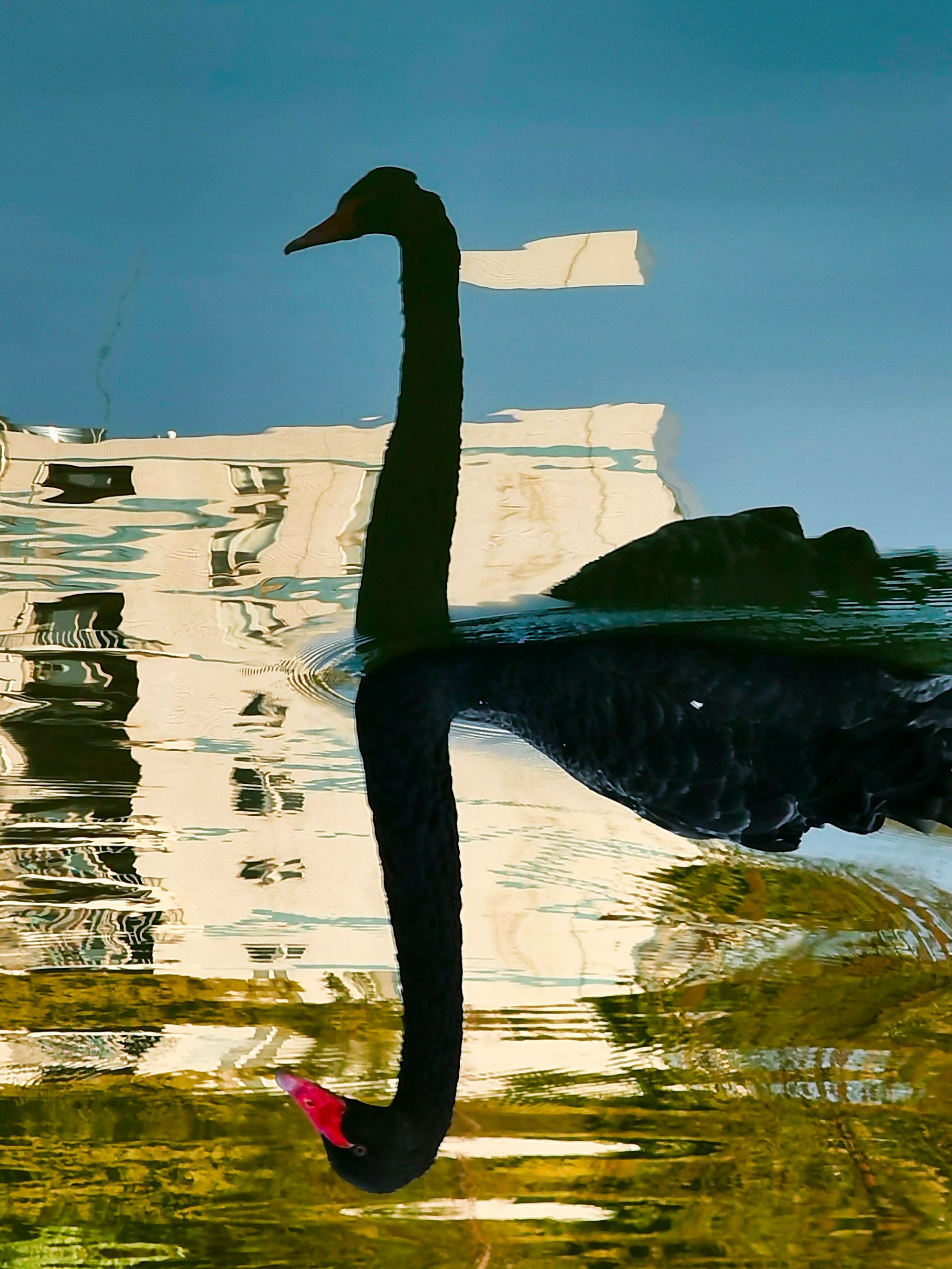 2F3A62B9C68667C5EFDC78F5023_2B8C4D19_9633C