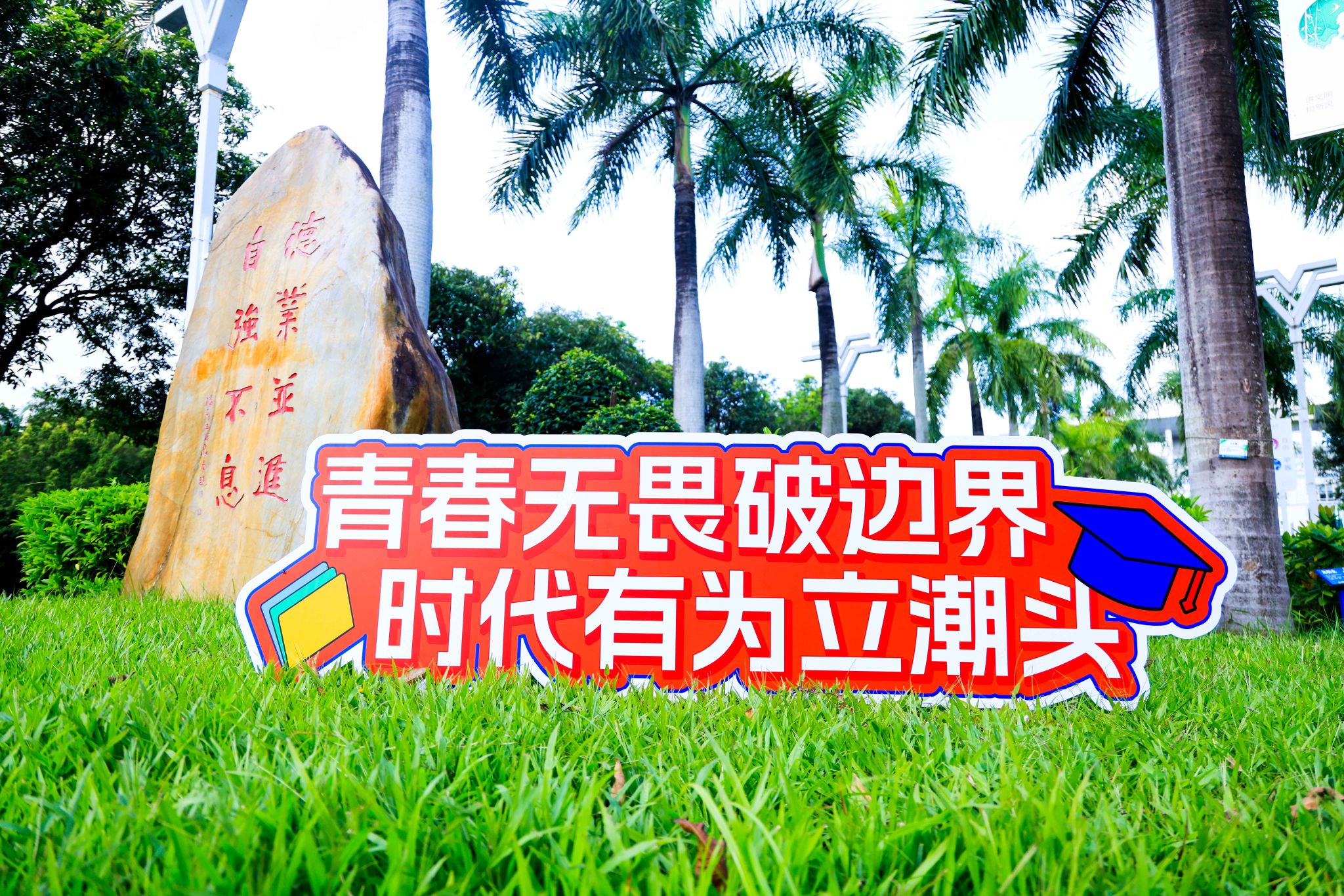 DC2AB2759219058CA705656CA03_D68B7791_B2F8A