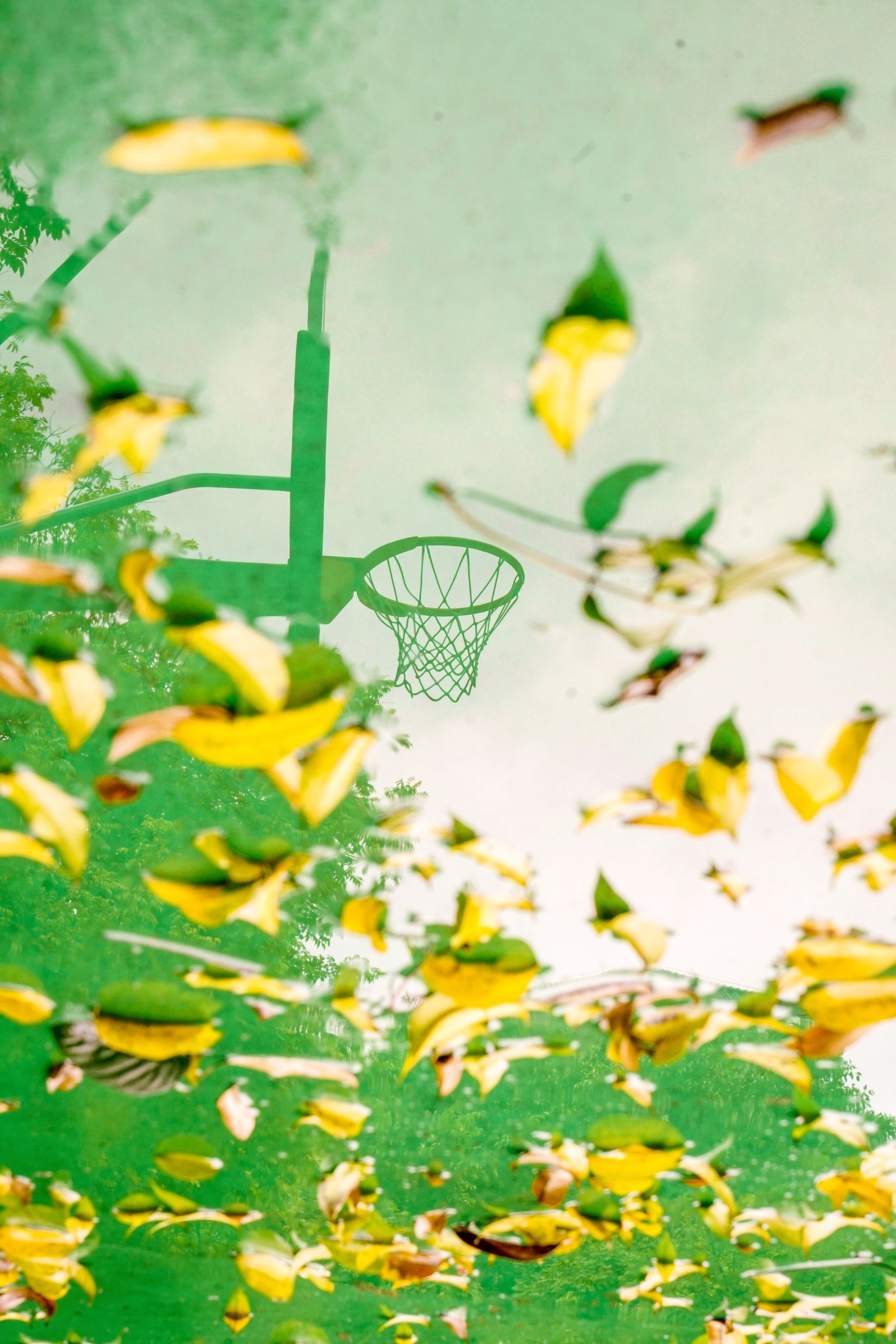 10B4B9EF76C1EDAEC5173839F83_81F5D6D4_84EE3