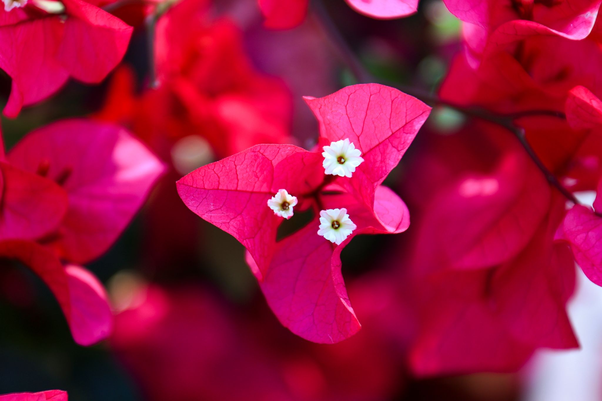 35D9E4FB77E43969D2A50DDB2E9_6D26E7D3_2A010