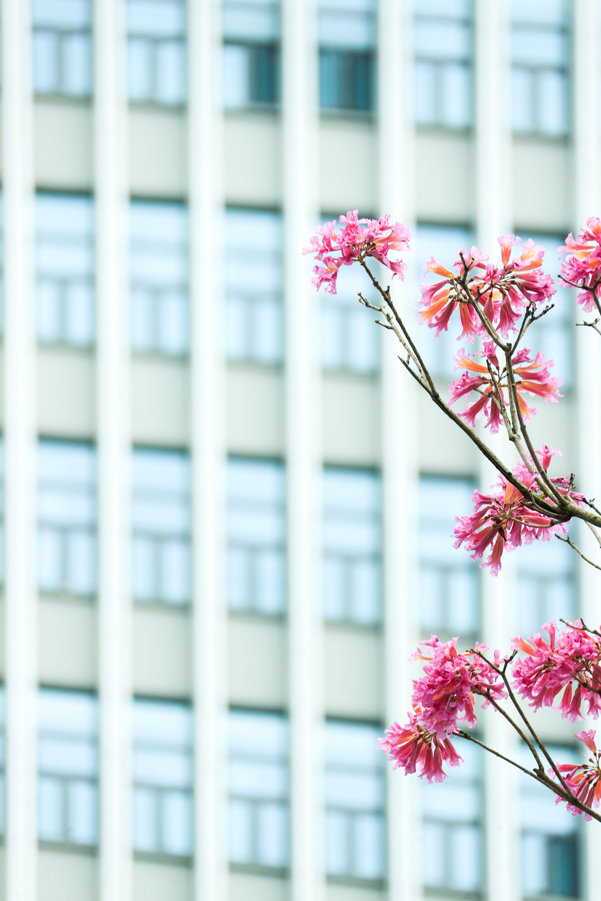 E8D5582FDF918D6E4249FA4E59C_27FE9E16_65197