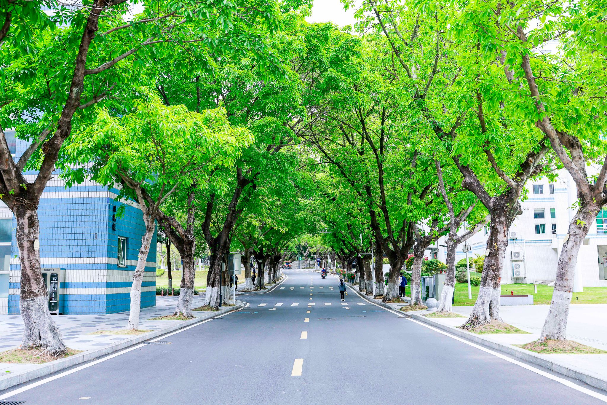 CFA9482415F5F11077D8B24B773_C17AE04A_FB616