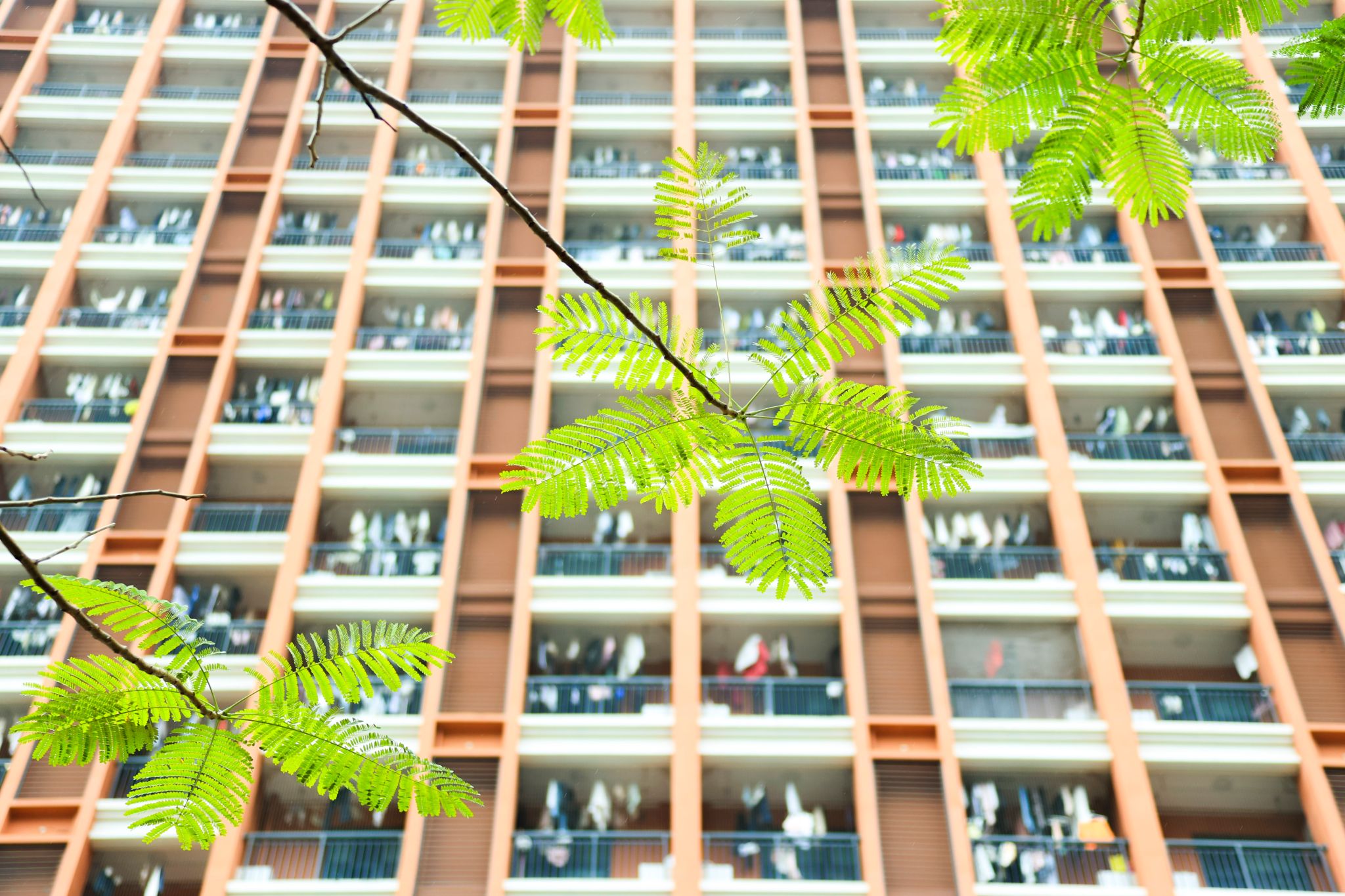 41F026C2C1F1C157EE9248CD851_4CCB0A83_6A762