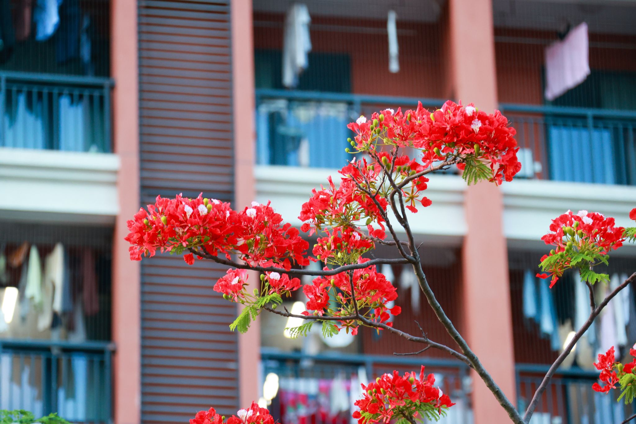 03854CCF829AD6BA942AD692D6F_D129A1C2_55A5B