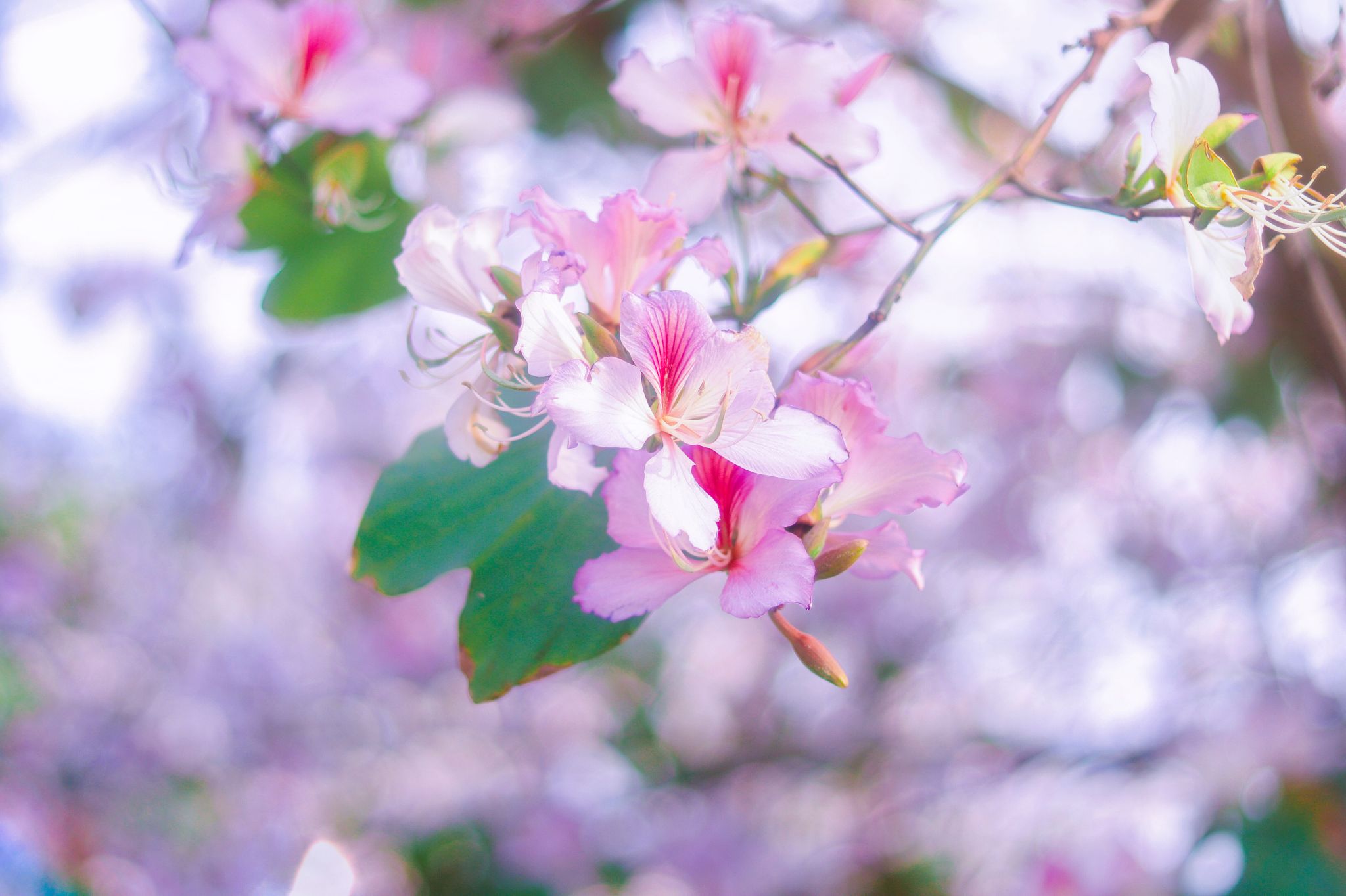 FAA0A6542781491C3B6C9893F30_3718BBD9_34762