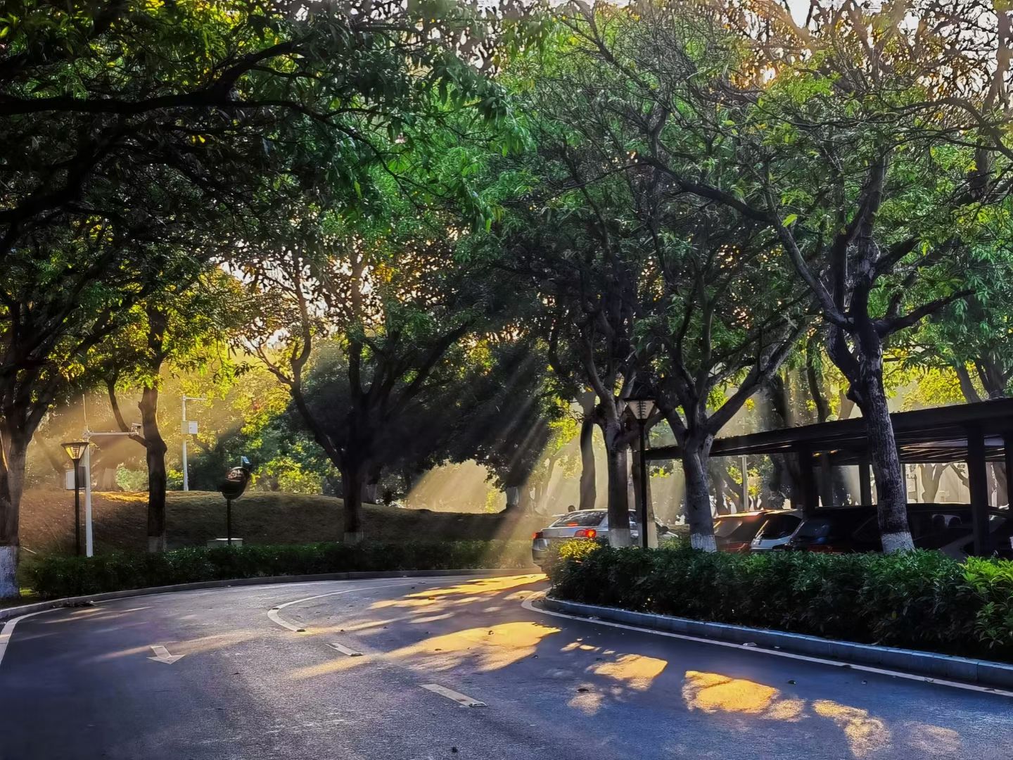 87738D95024EFFB6FFA6228D68E_A398DA83_636D1