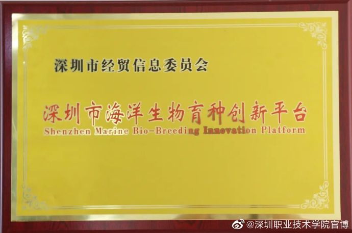 457CA4F13ACCBECC8BC10BEC4C4_CED15E89_8687