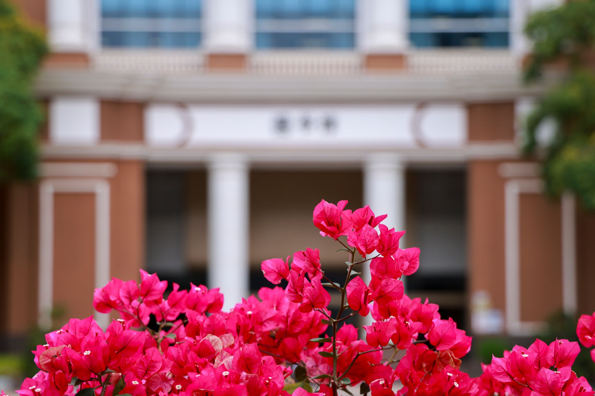 F83B00AE538750E58BF8D4D7247_FF0A7823_394CD