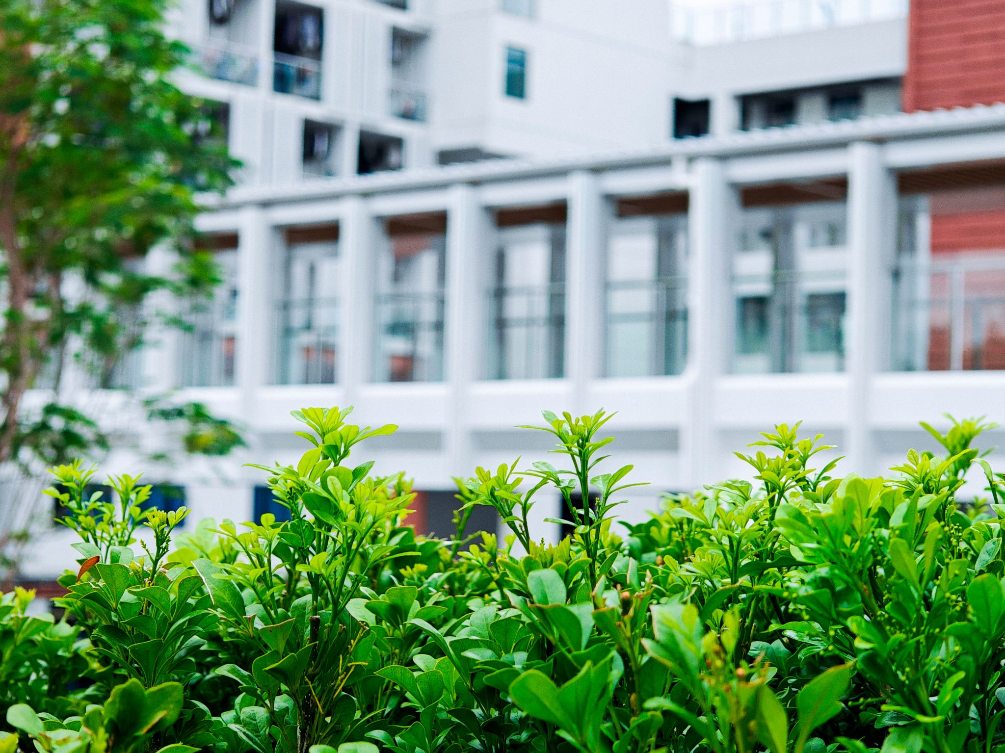 838626D5B273A5EDCDF91EC351C_A89A4EE3_82F03