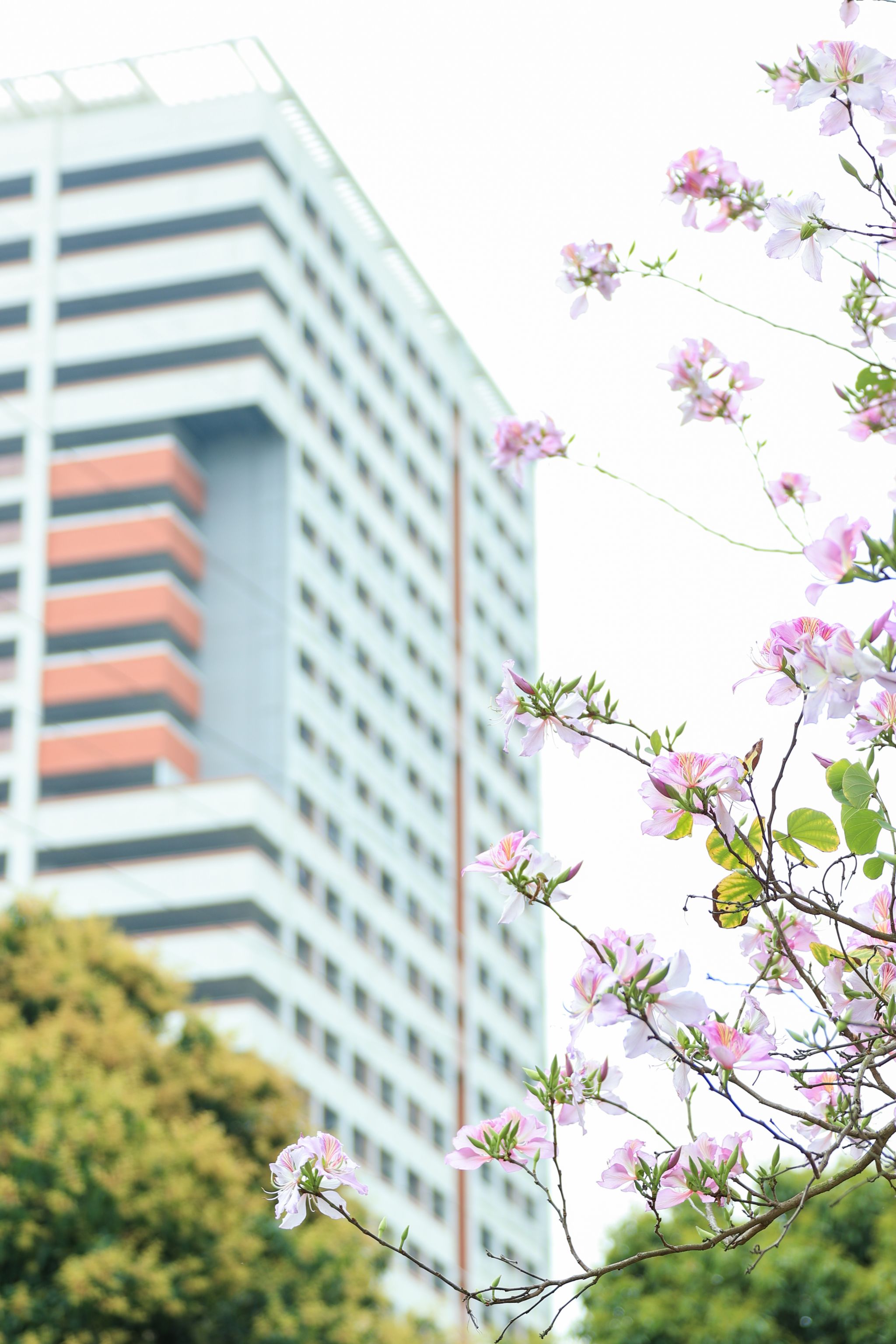 D91B0490D7DD75F91966C9D89A1_251C769F_7A6A3