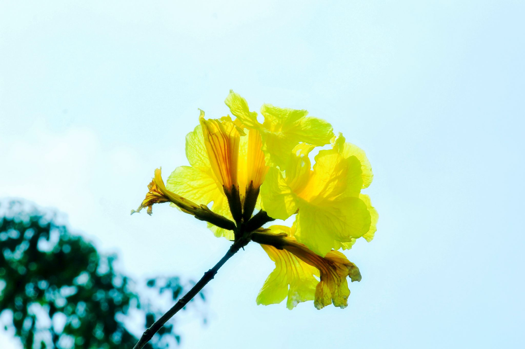 A5B5D6F638969B8B2FC70549CFF_FABAED7F_281E0