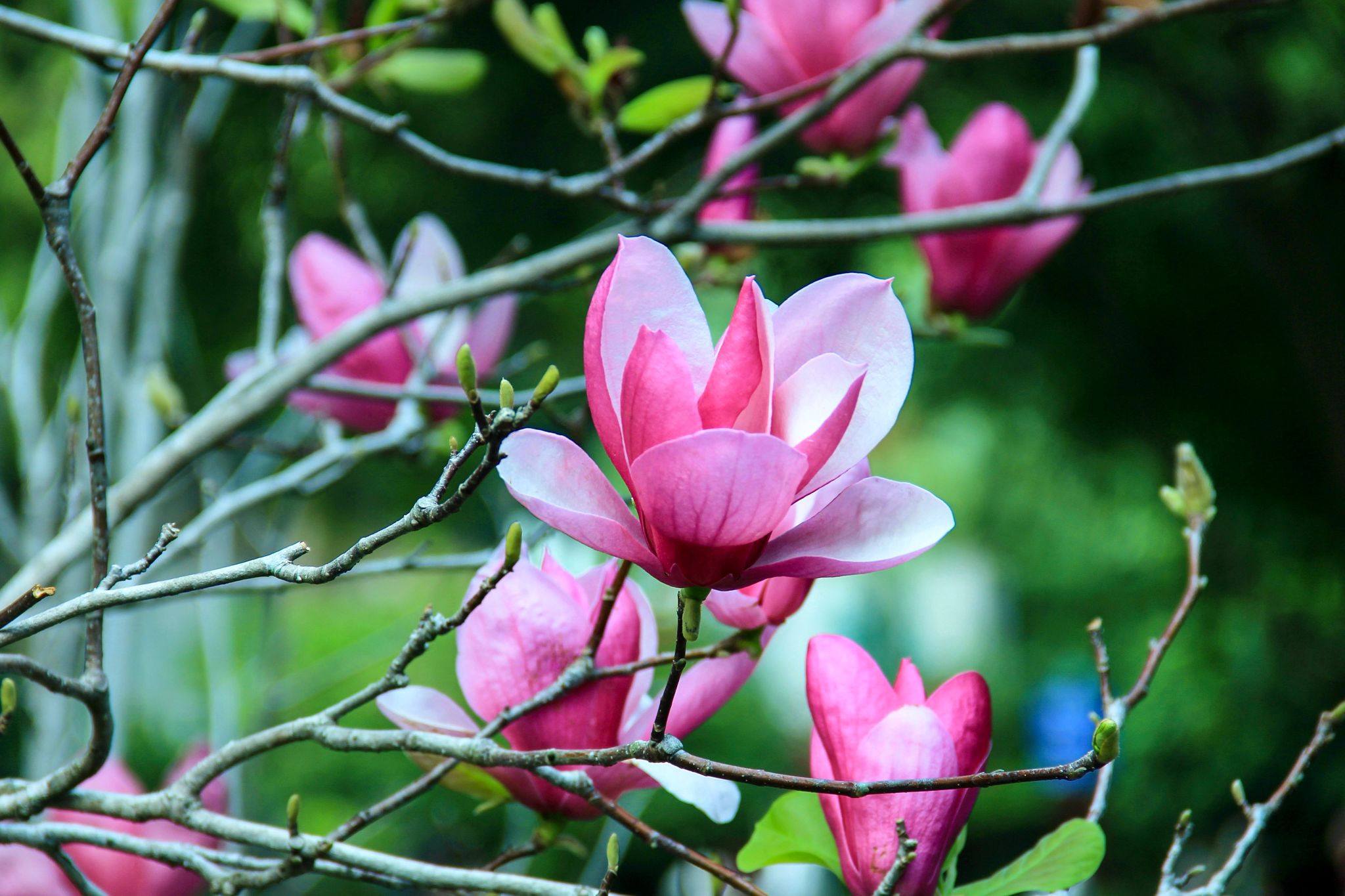 A3E9C1F5B05E36C2FBB510DBAF5_BD460979_493DE