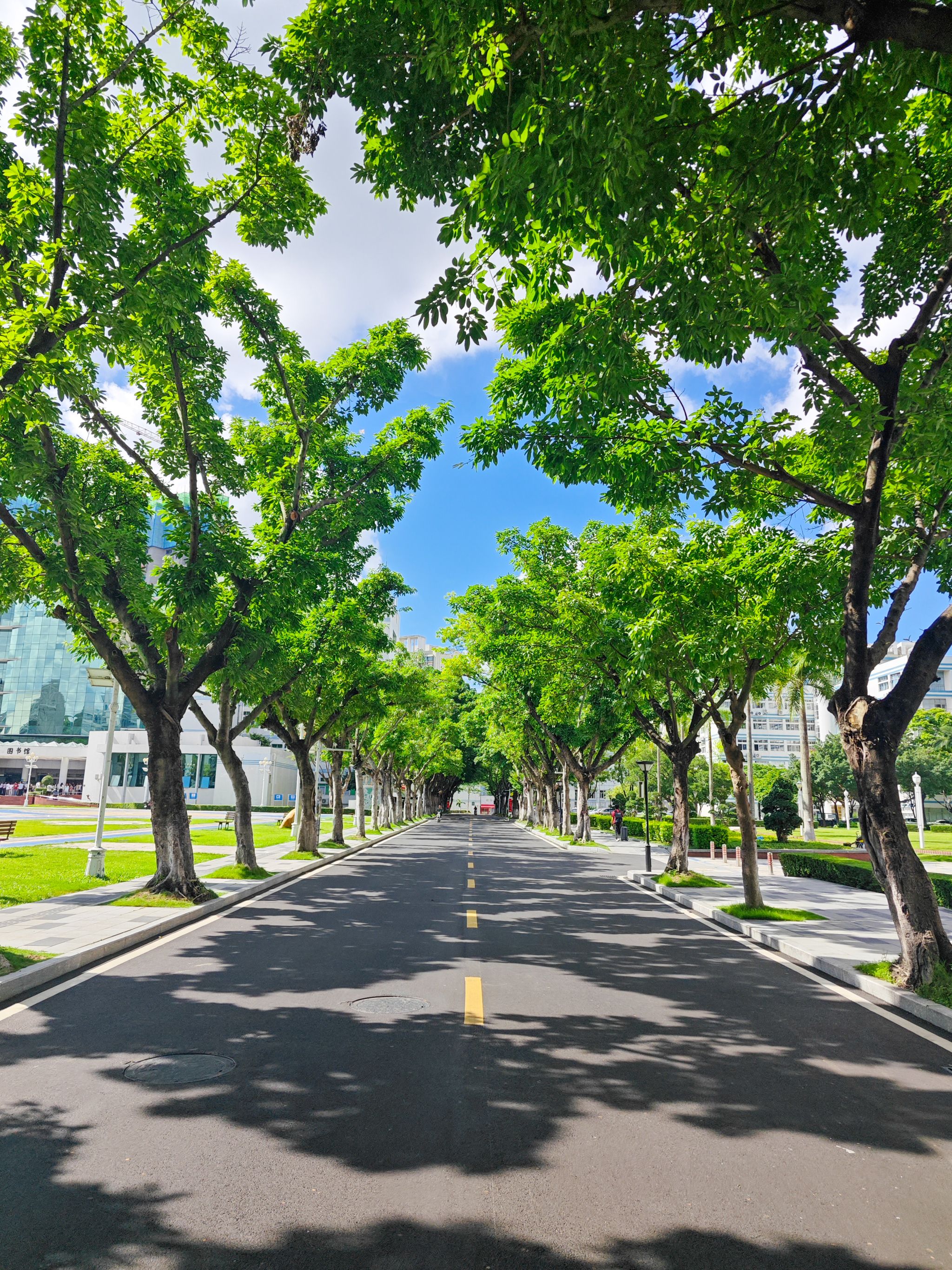 1055A8FFB5616F76E8815B7D83C_C420E704_16ADBD