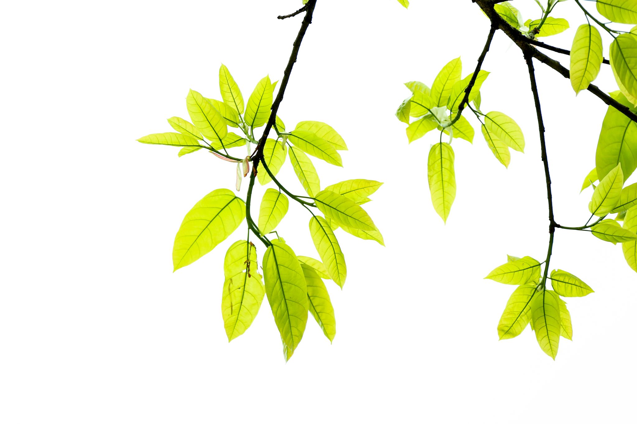 D8B56957039BF2B3FF9DD64378A_679D482B_2C472