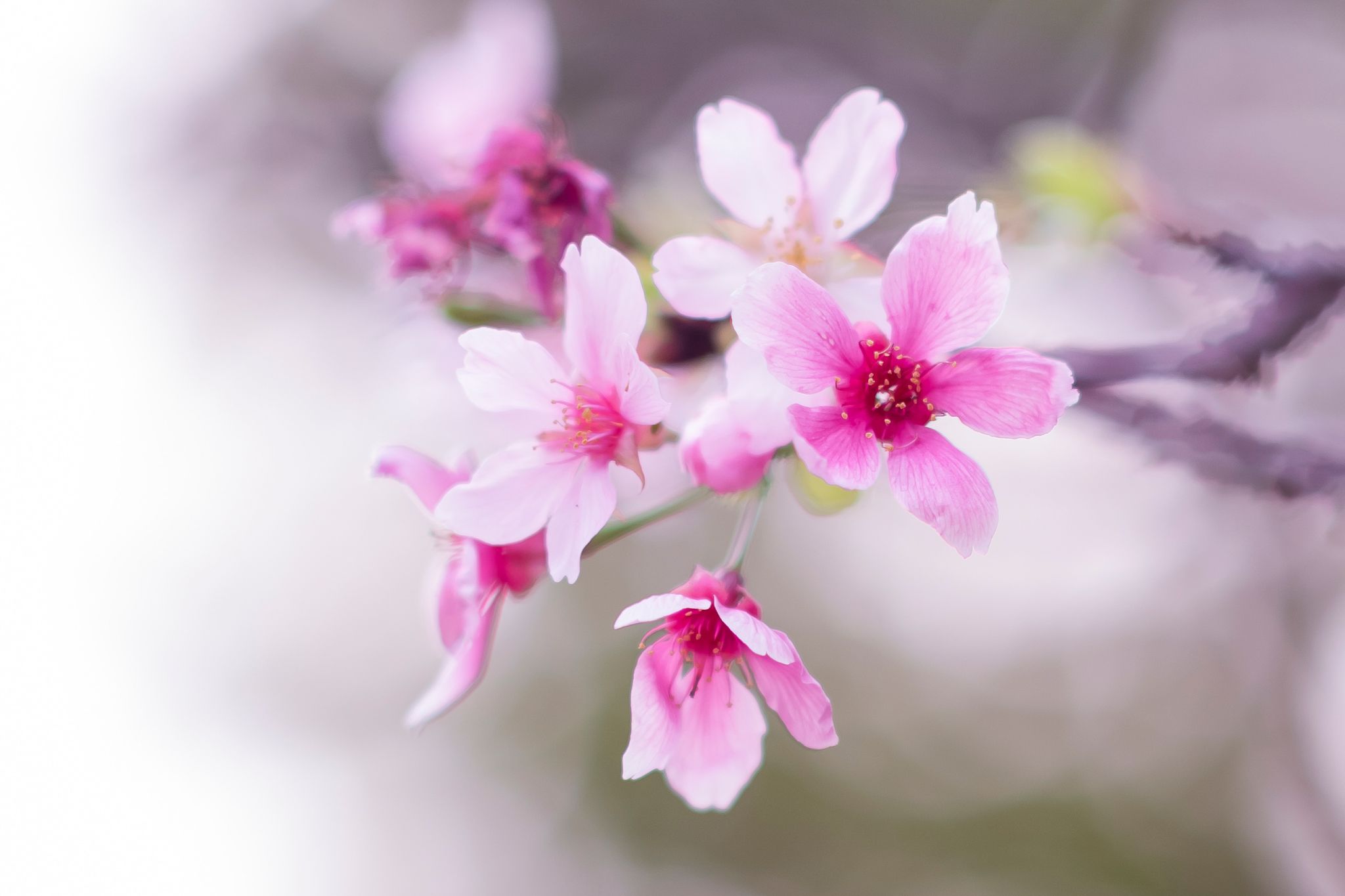 93D1B271ACF4BEE831AB43D42A0_DDBF7577_22714