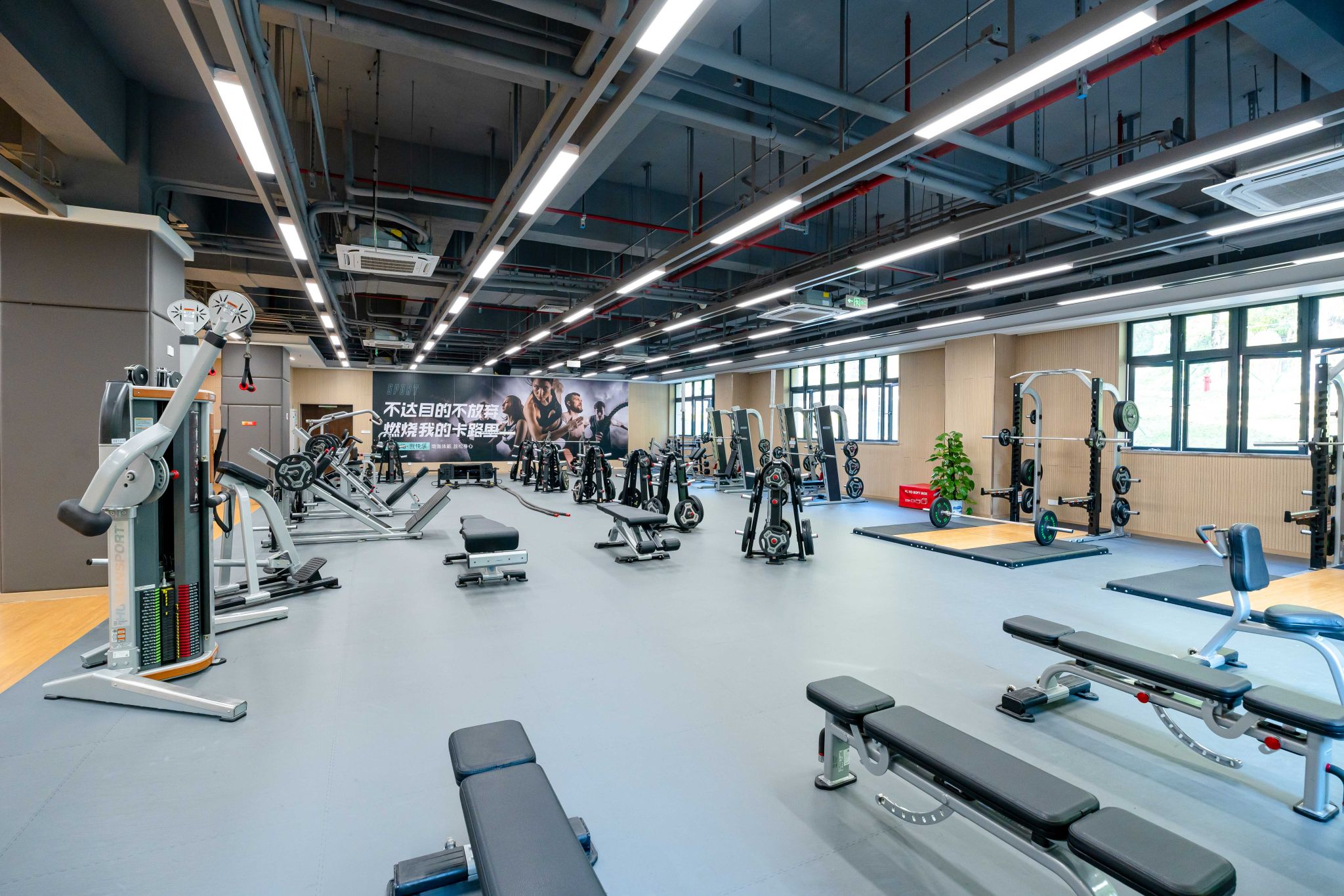 3BA848F46A1731668E0CD5FC3E5_ADF948E7_6C3A7