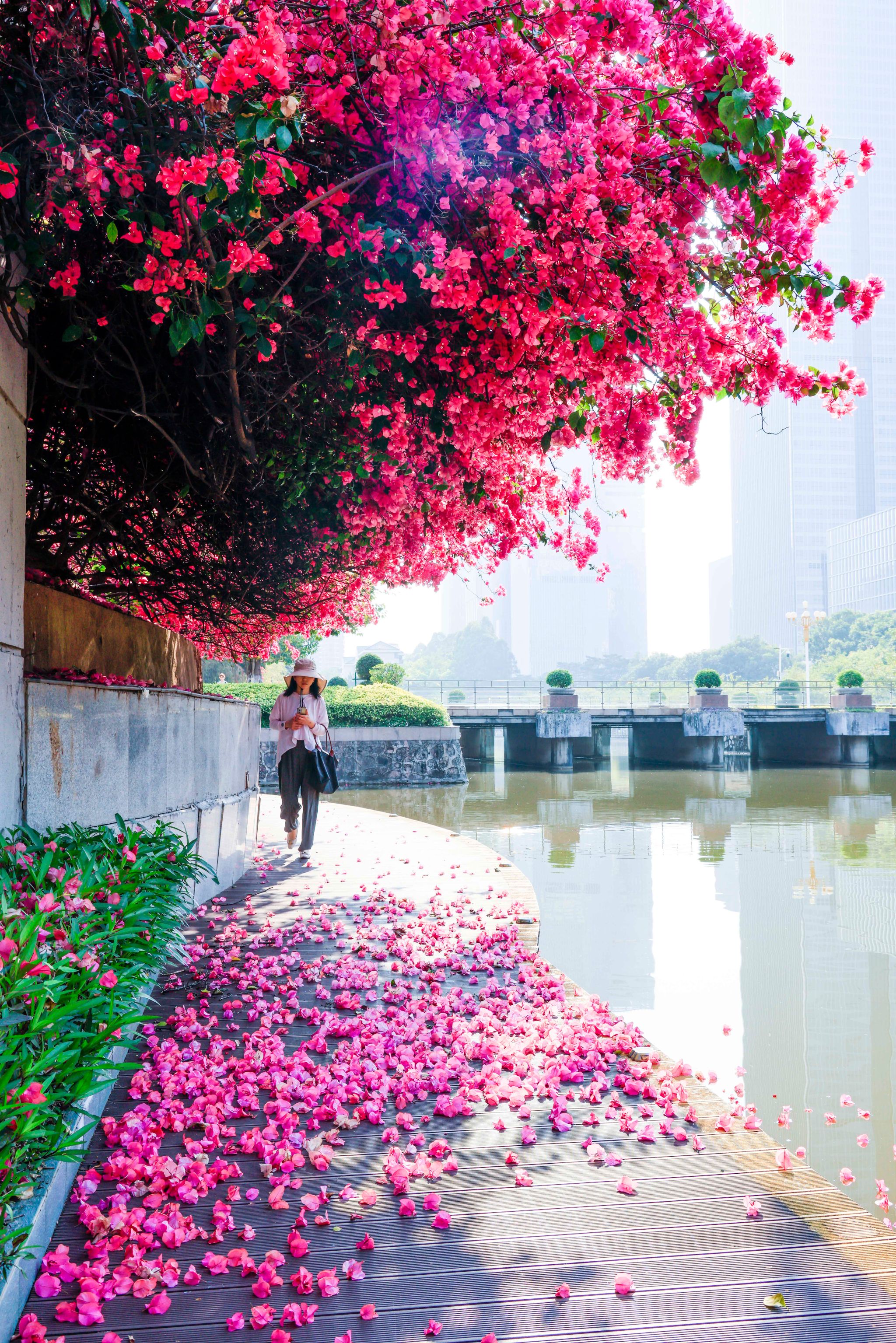 0491CBBDB26377726B5C73020FC_60A5ACF9_17B5EB