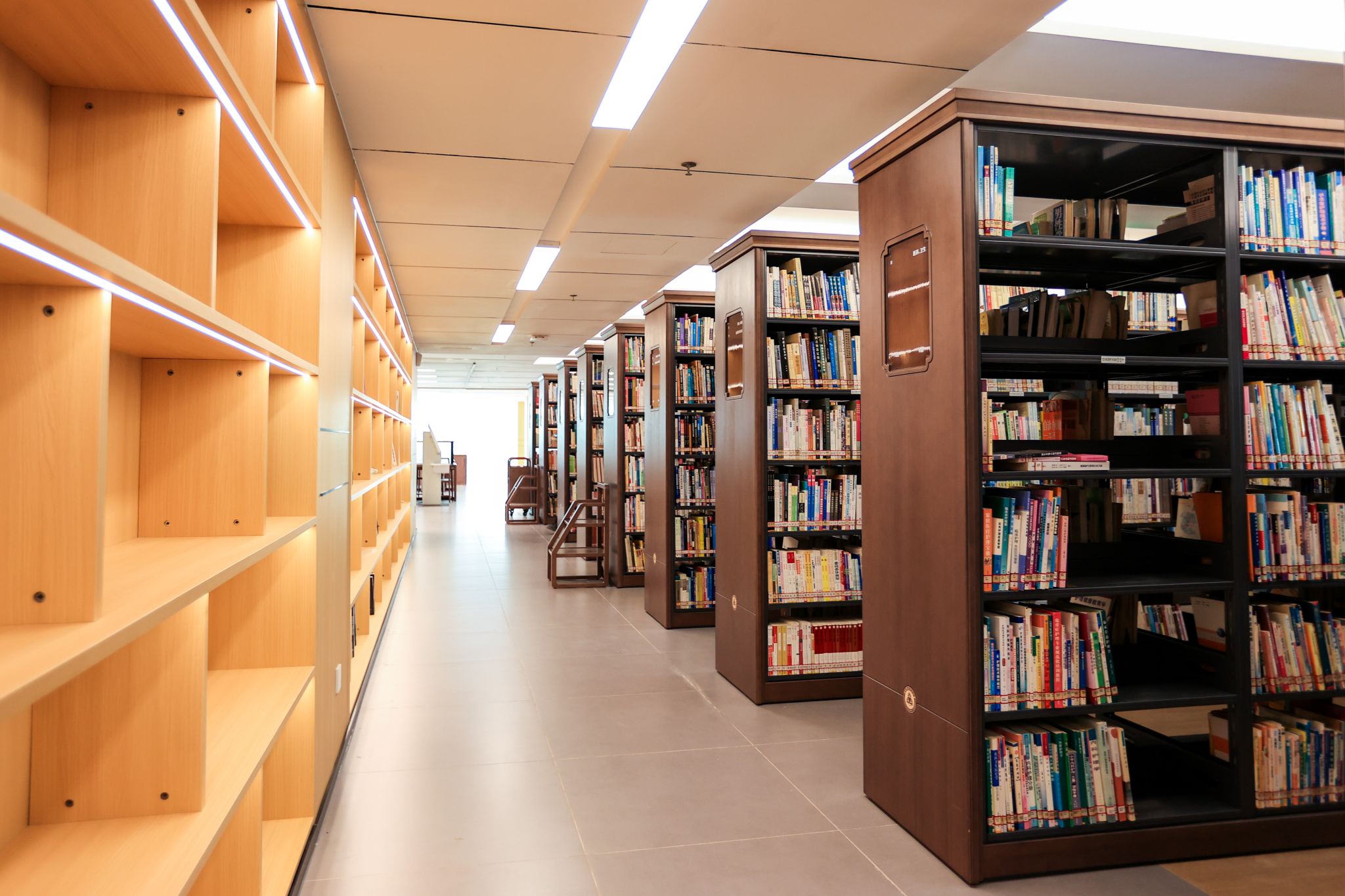 65A8CB7F02CFB4E7CA3F6B86CDC_303B4CAB_50D22