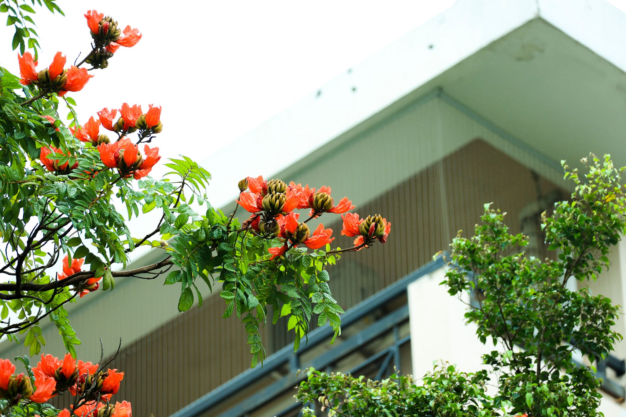 152BF5ED0A6590F3F8FAA83B941_B5817C80_6C737