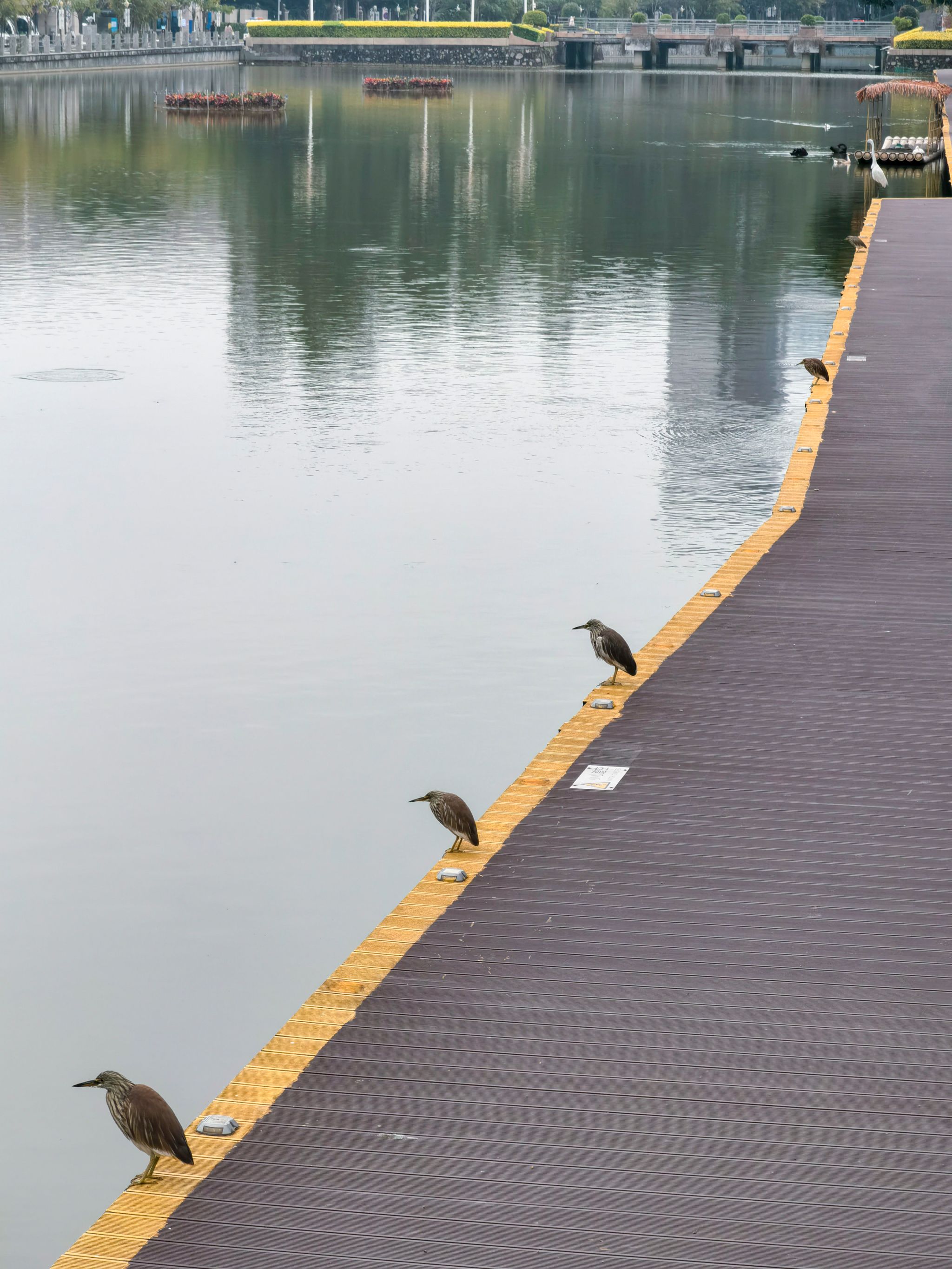 6C7BEE9CB102D267565B5759C6B_884DFD2B_A8436