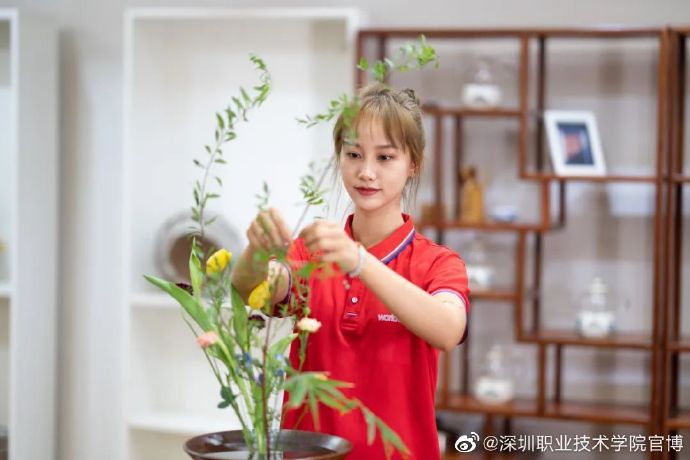 085D75826B9001DD6B2D4DE2955_88BD1AD1_9E53