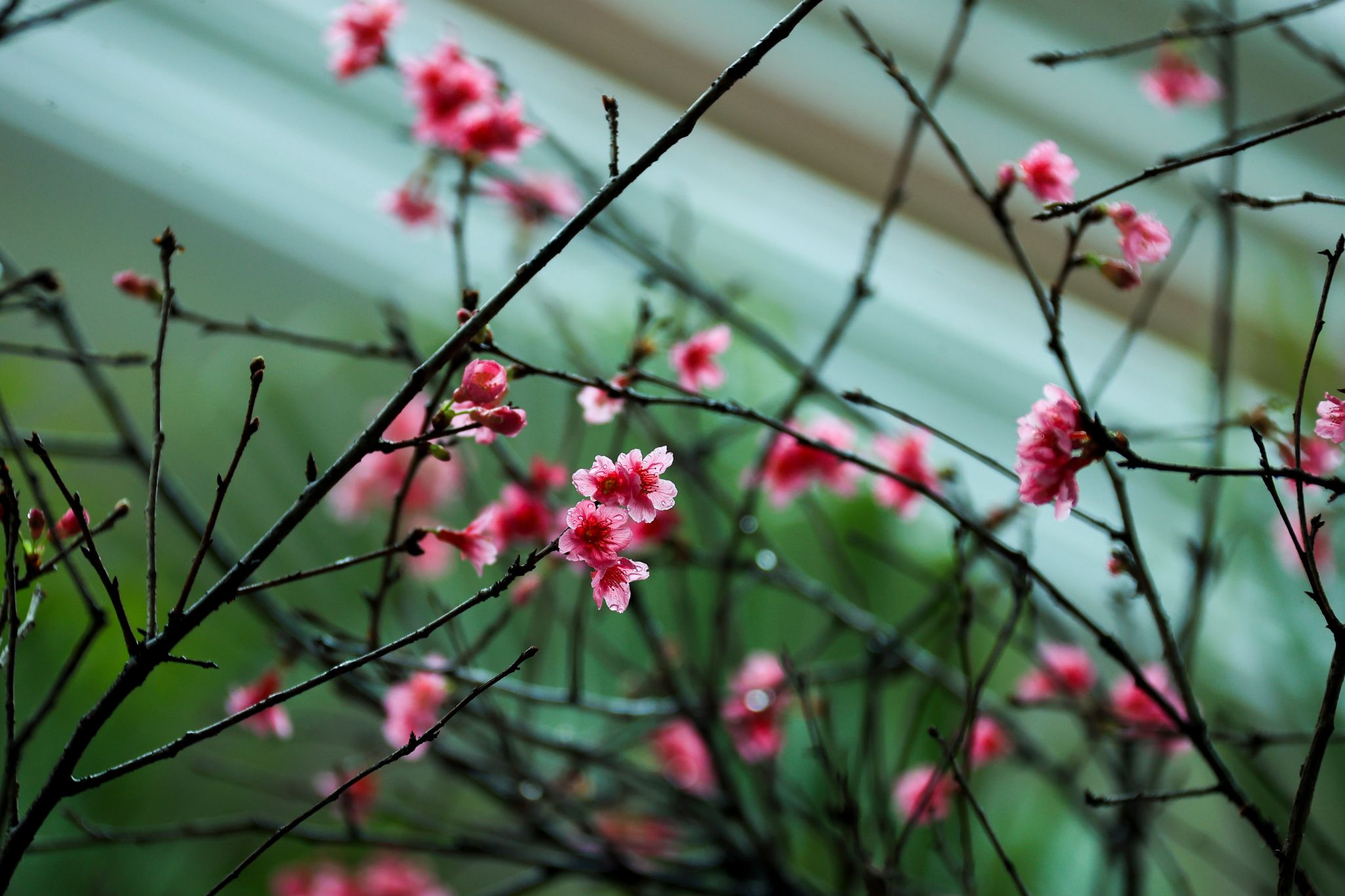 09322CC9DF2FD9FF401064503A4_E0890AE4_3F253