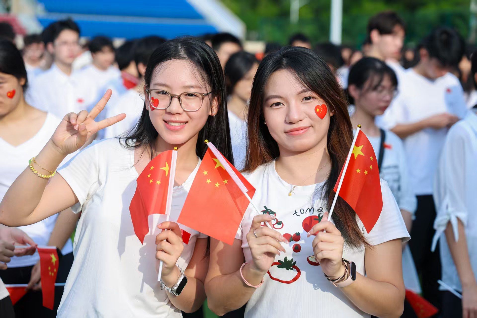 2FF393518D4DB560DF3CDA748D3_848D203F_445BB