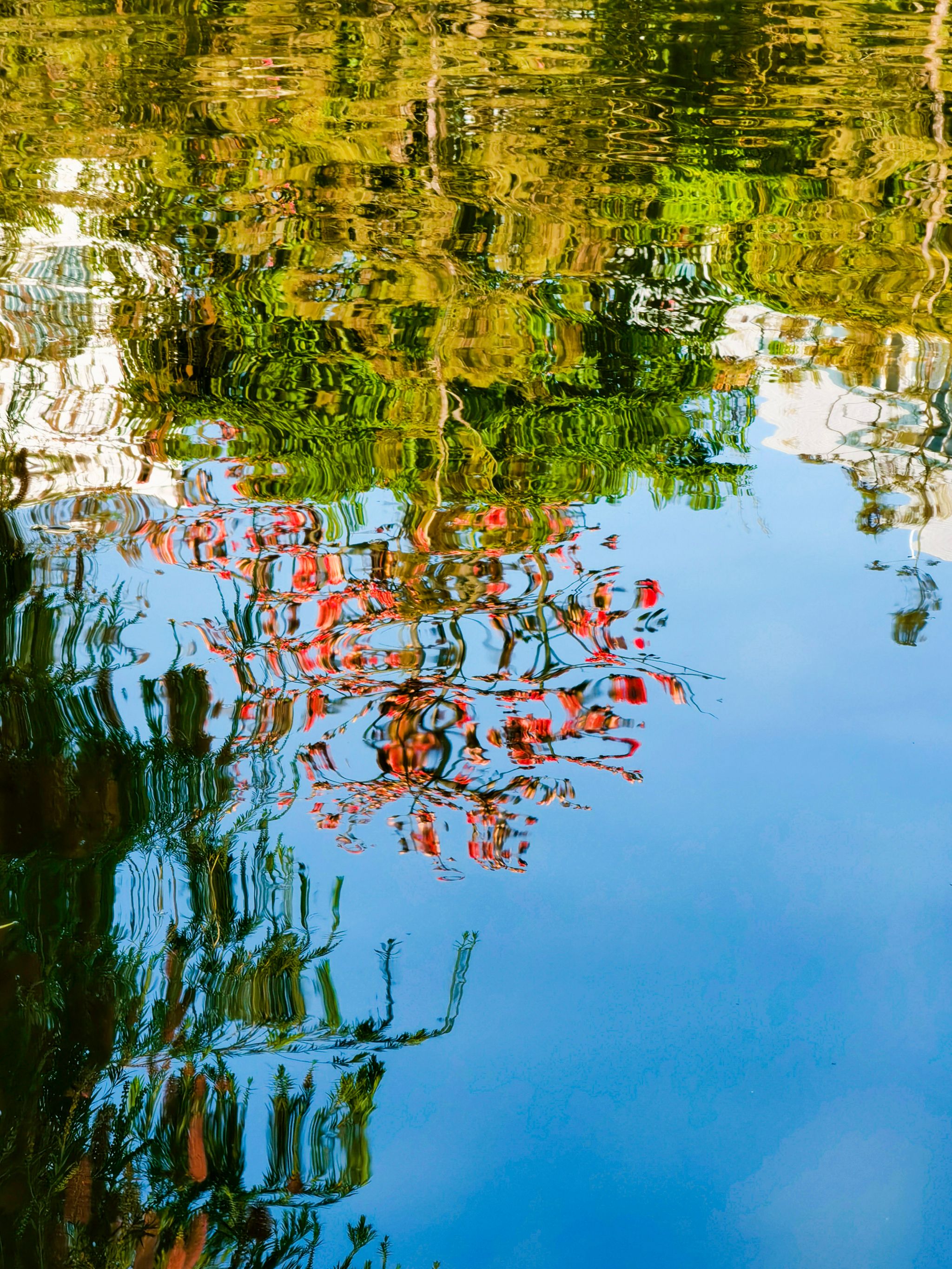 F375660CD463CCC33D87CA0AC3C_461AA9CF_101351