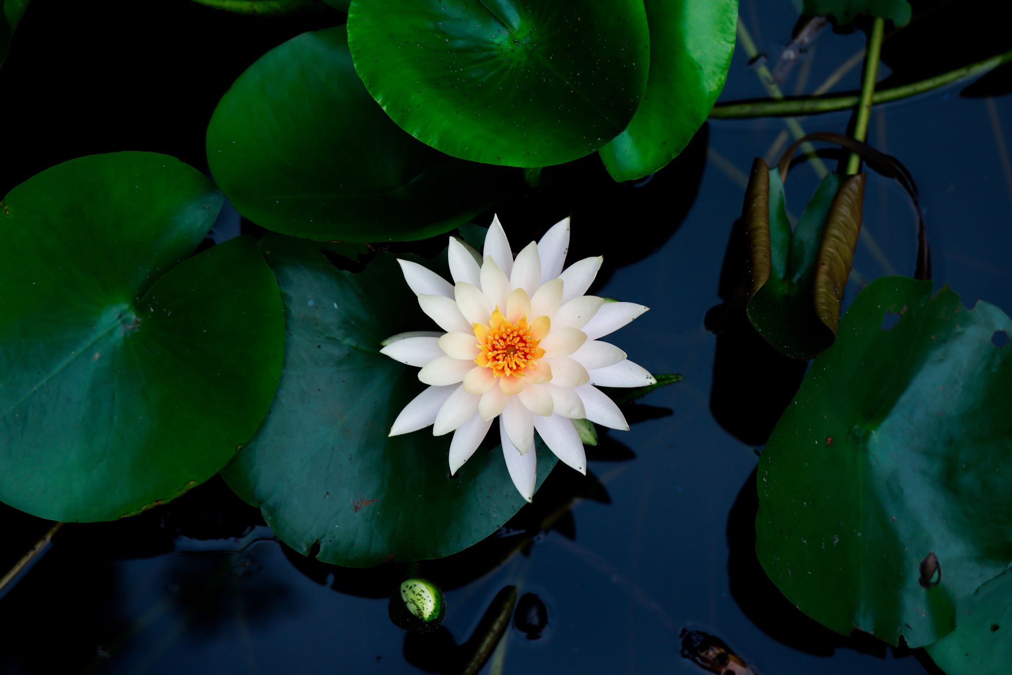 202699EDD914EA909942BA5B34E_4F16E81E_29C4D