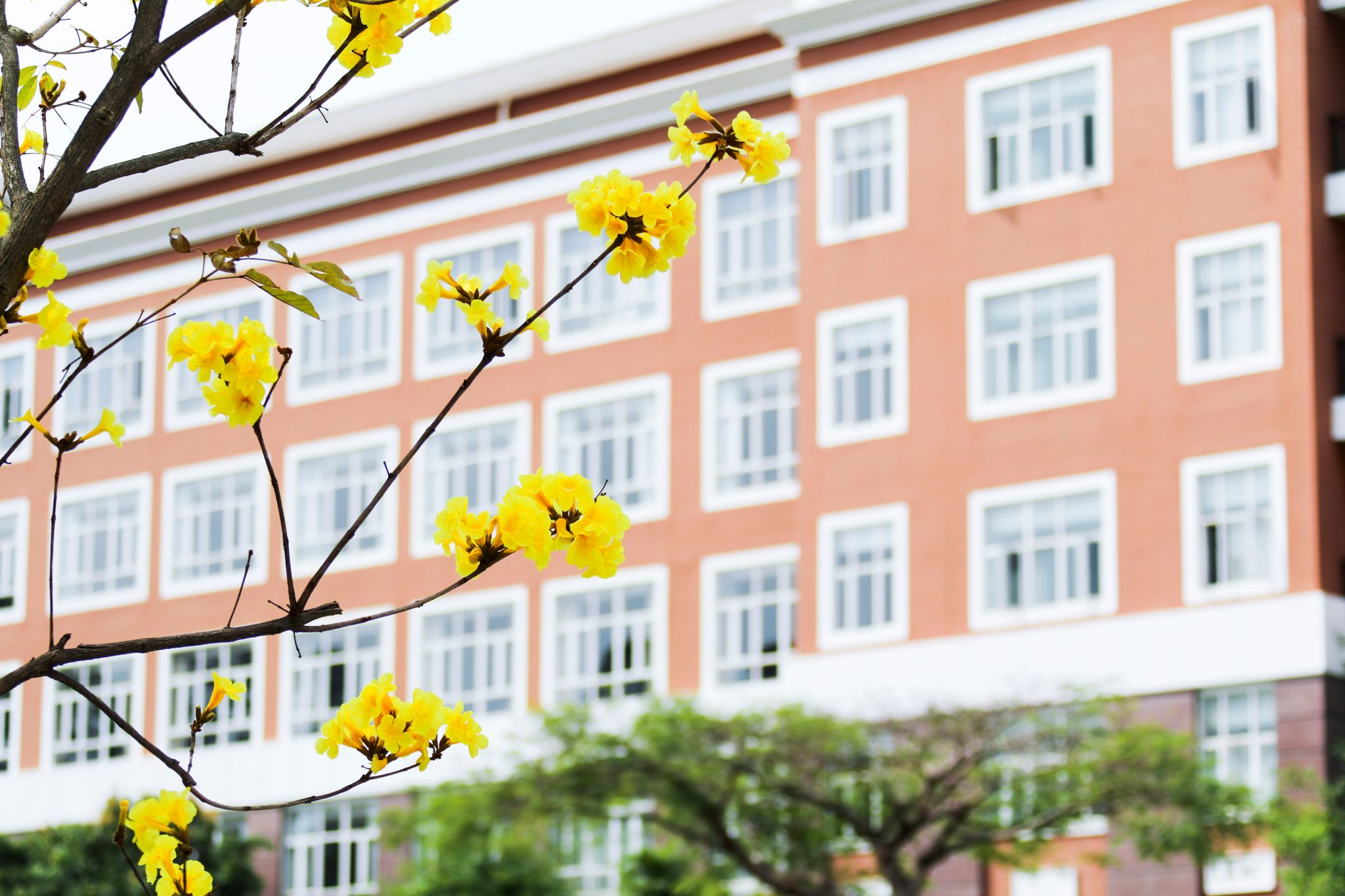 99C4FE8737E399109DEEEDB4BF0_98AA3479_47225