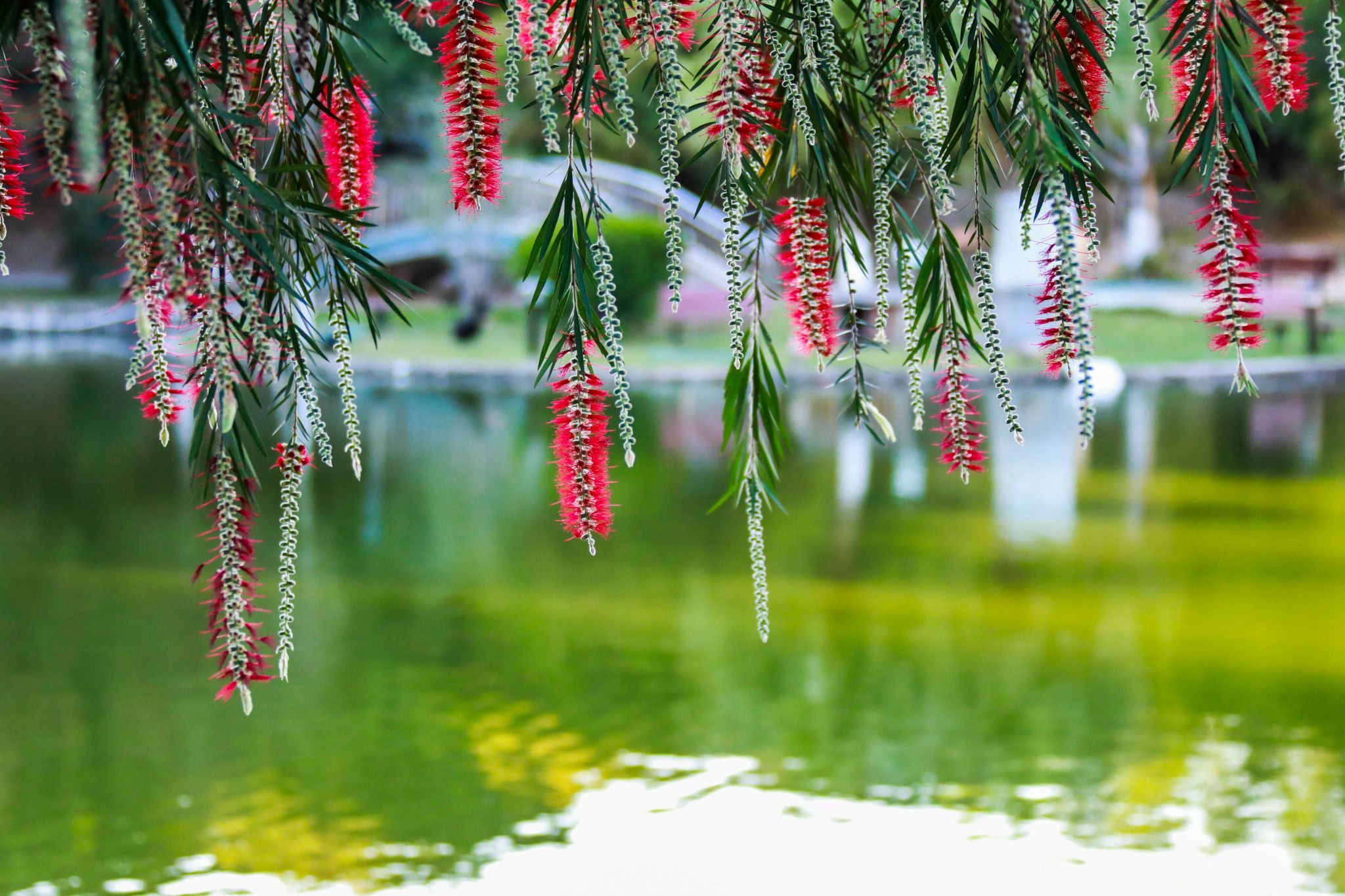 A1A45C850A8463D822E99CB9973_15ECBB8B_66613