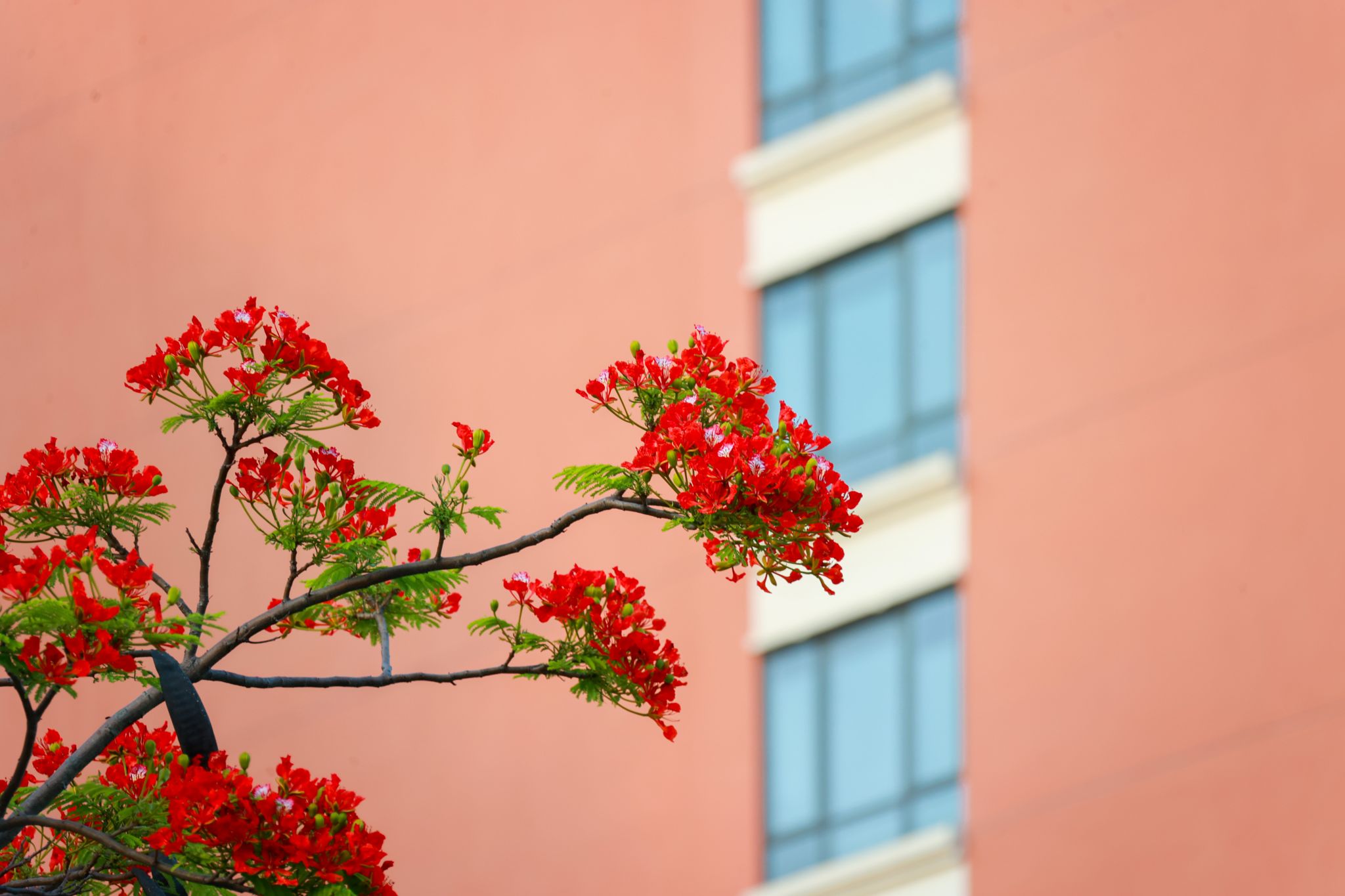 69937B35C9DF24D2165B7E78DBC_3DA89EE7_3565A