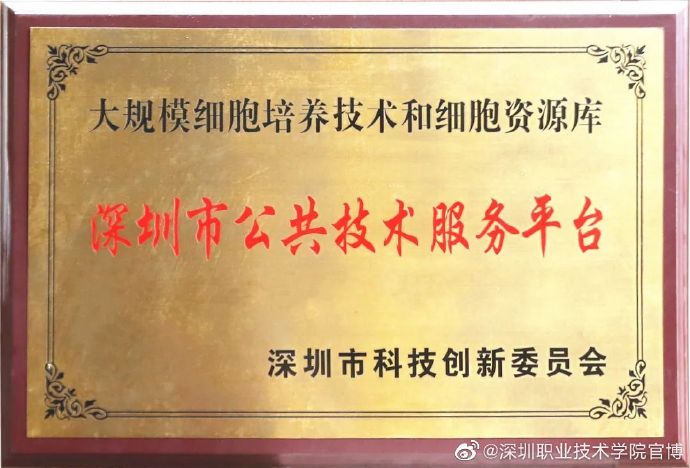 5AD8A4BCC8B3641AE6B1AC65024_6A891891_D6D5