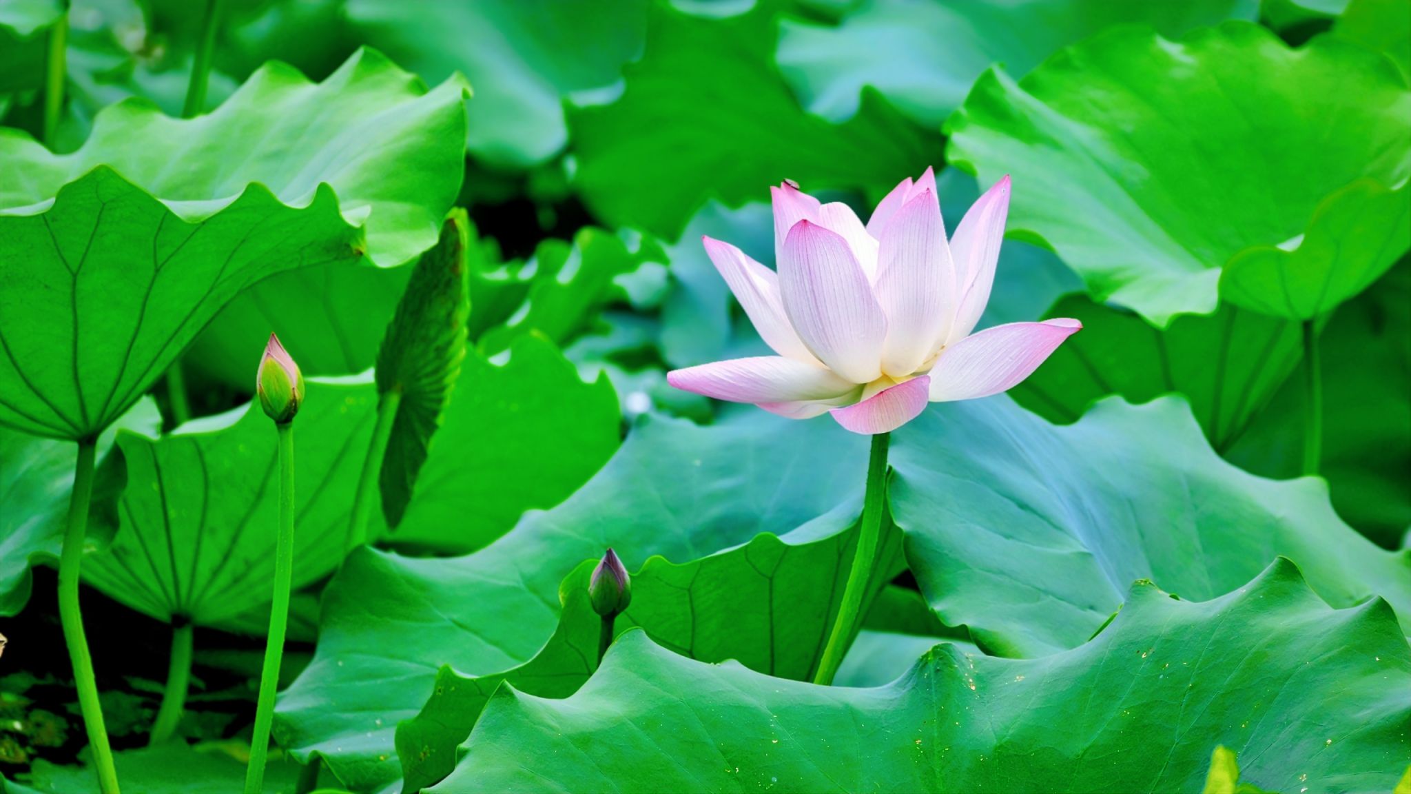 23A846E2DF49D2E8E947284BC8F_984AB1D5_35A3F