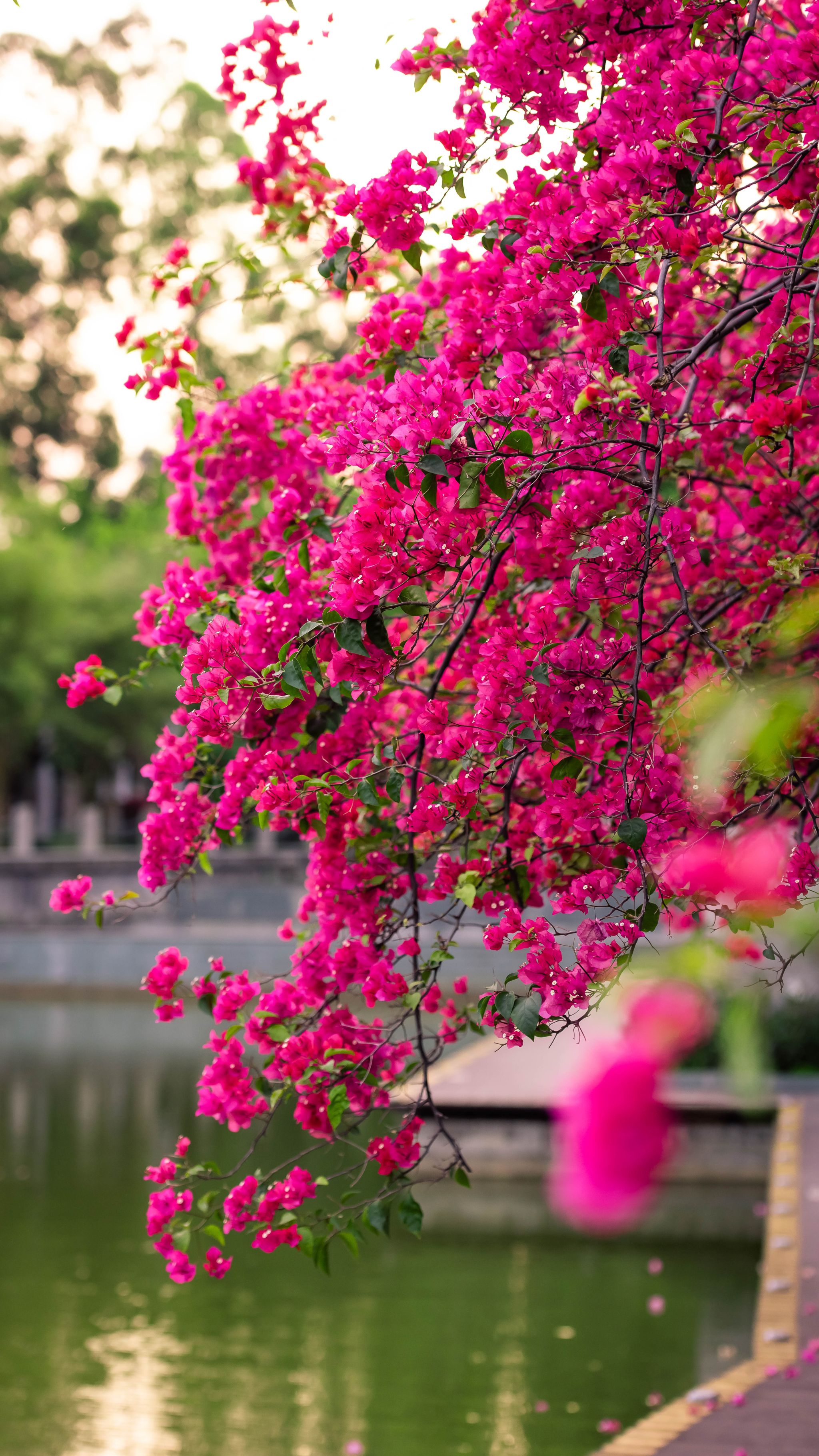 F7FF8AD26EE59A71554F18CB4A9_BA2F404B_FA927