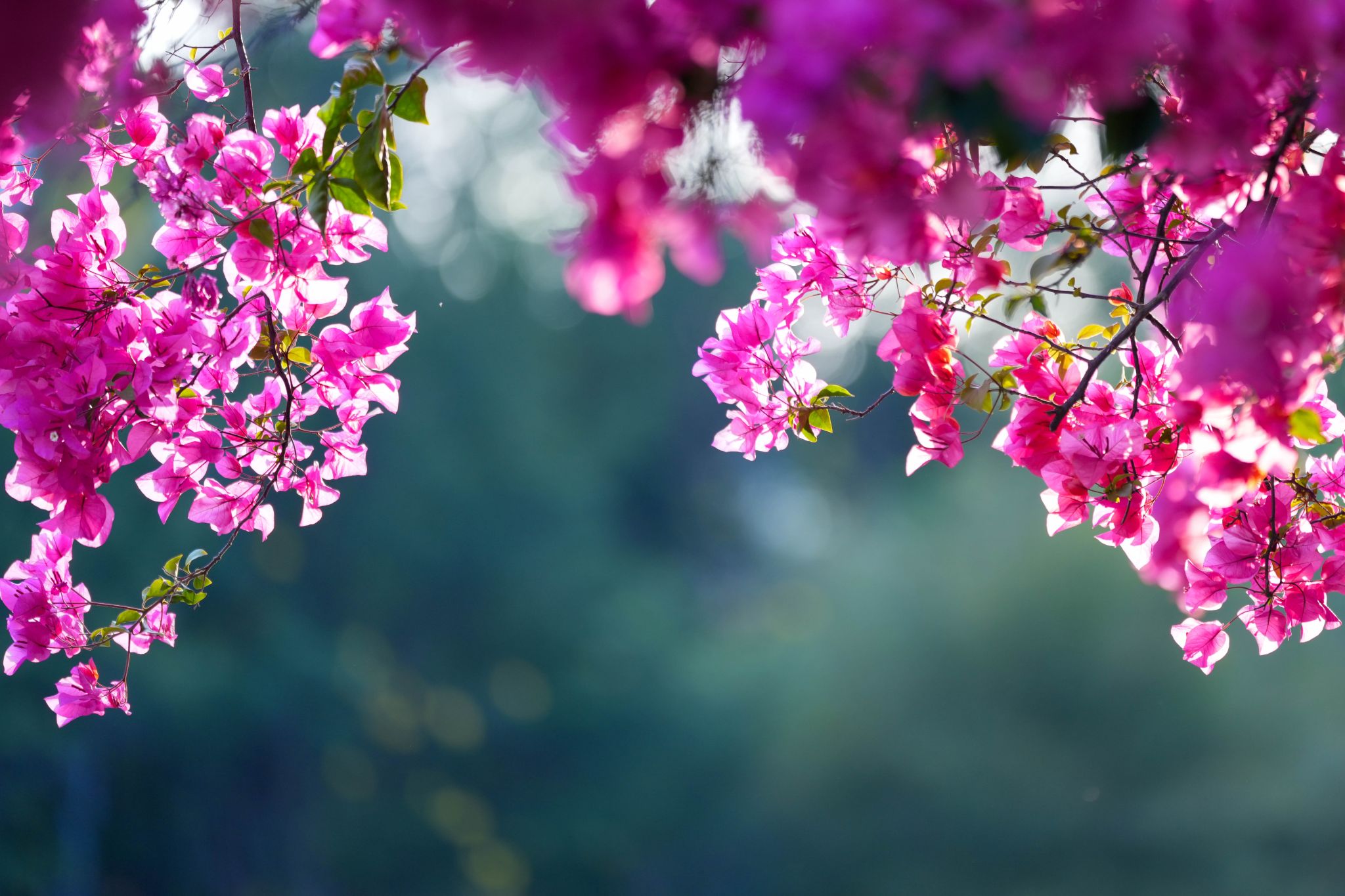 A876B91117A5B3FDBE63BF945AB_93CFC048_50B8D