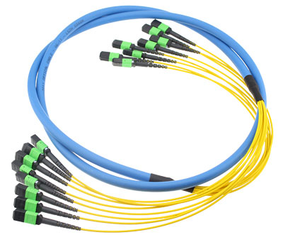 MPO-MTP-Trunk-Cable-Assemblies
